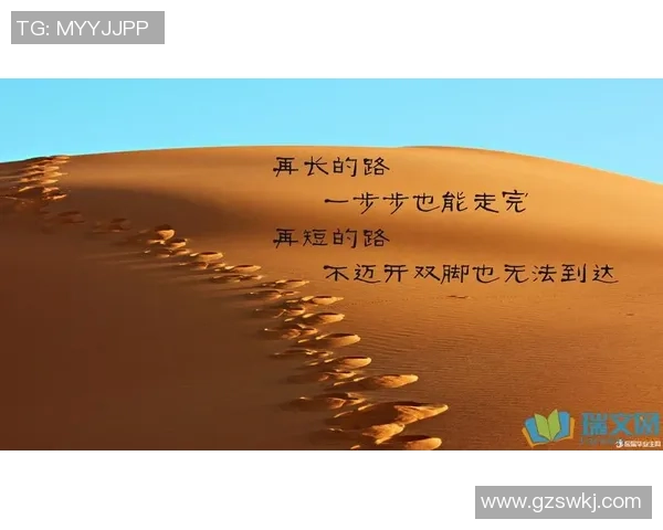 苏伟的奋斗历程与职场成长：从平凡到卓越的励志故事