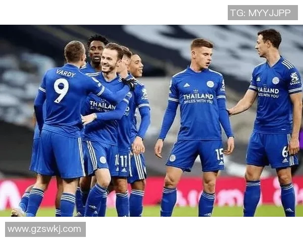 西布罗姆维奇对阵阿斯顿维拉精彩对决前瞻分析与赛季走势解析