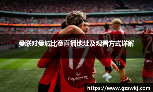 快盈VIII